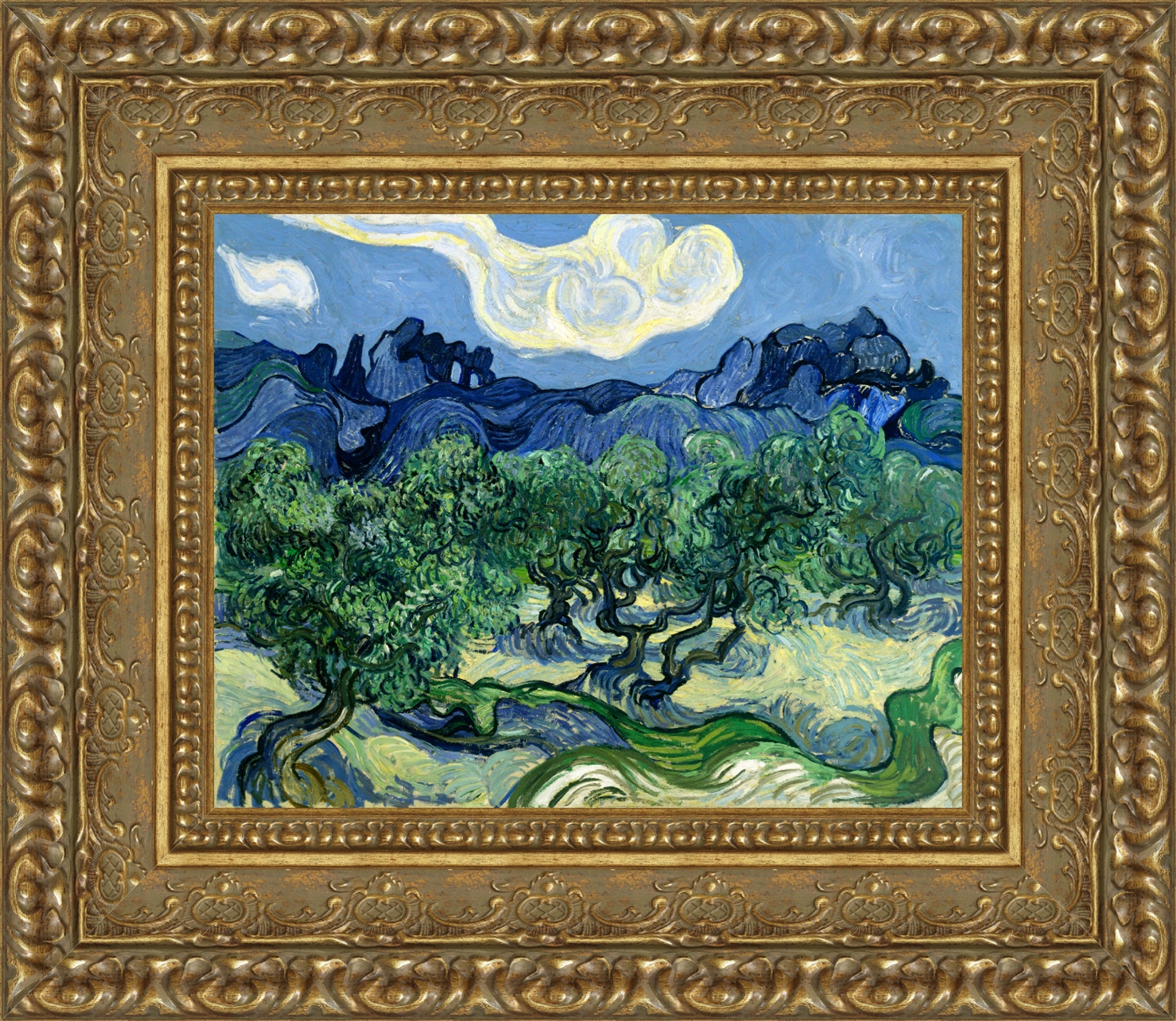 Olive Trees with the Alpilles in the Background