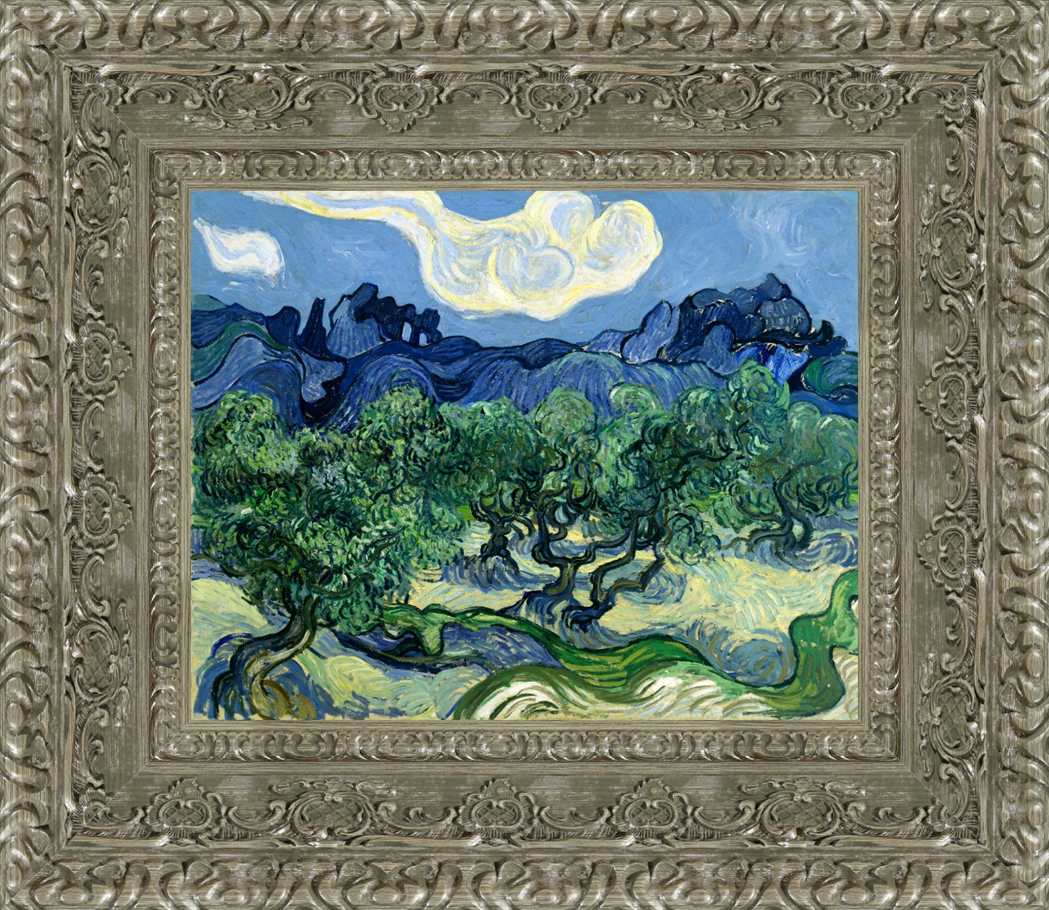 Olive Trees with the Alpilles in the Background