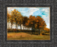 Dark Bronze frame
