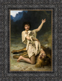 Dark Bronze frame