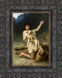 Dark Bronze frame