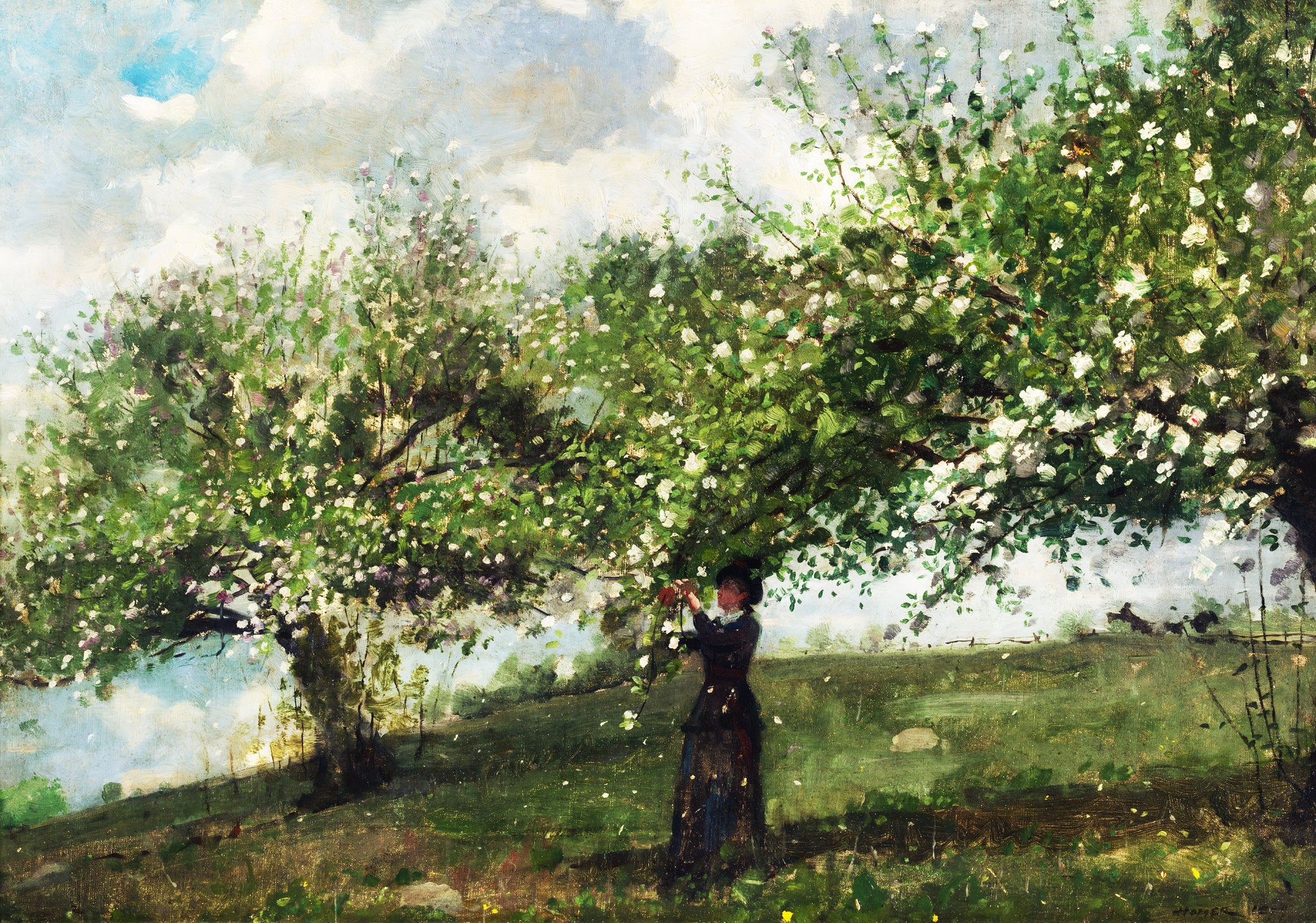 Girl Picking Apple Blossoms