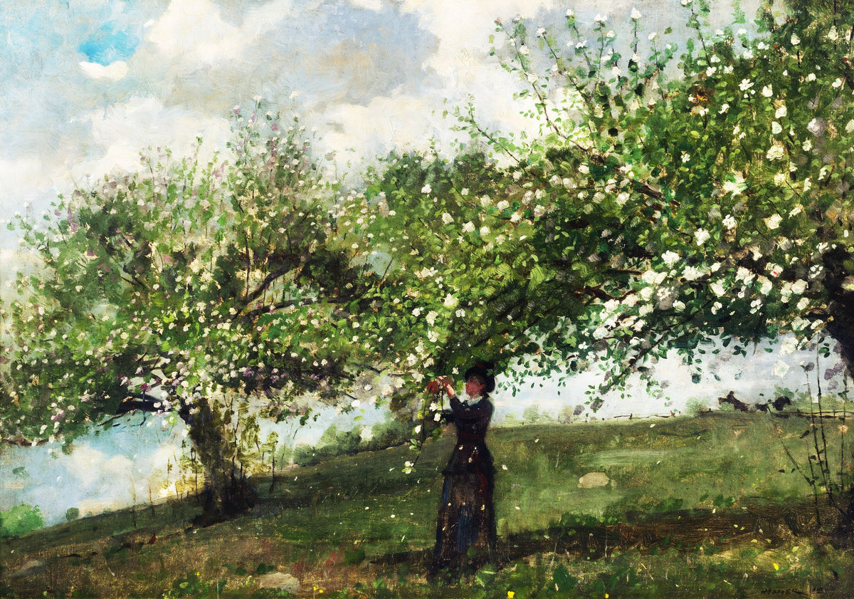 Girl Picking Apple Blossoms – Winslow Homer, 1878, framed