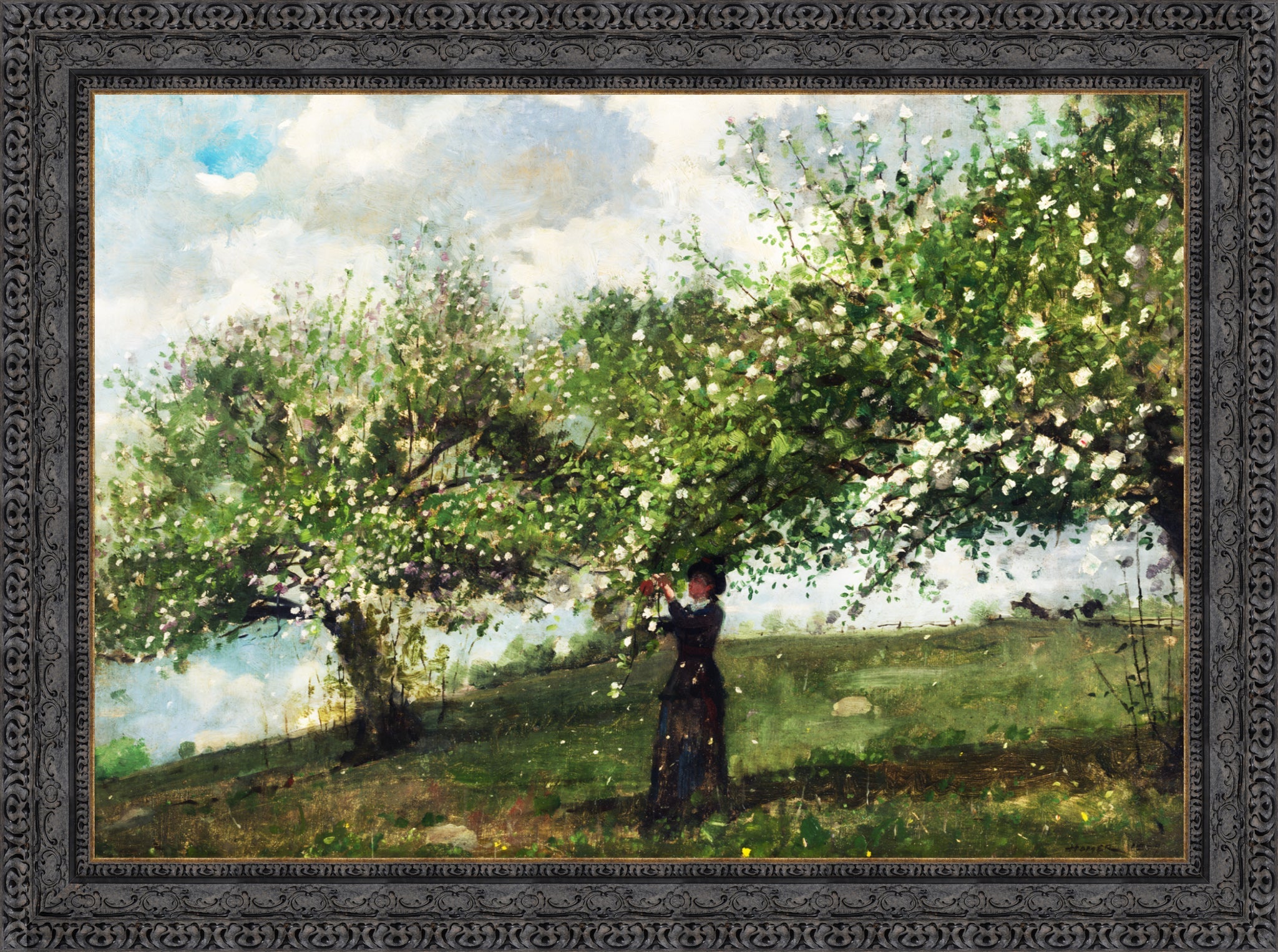 Girl Picking Apple Blossoms