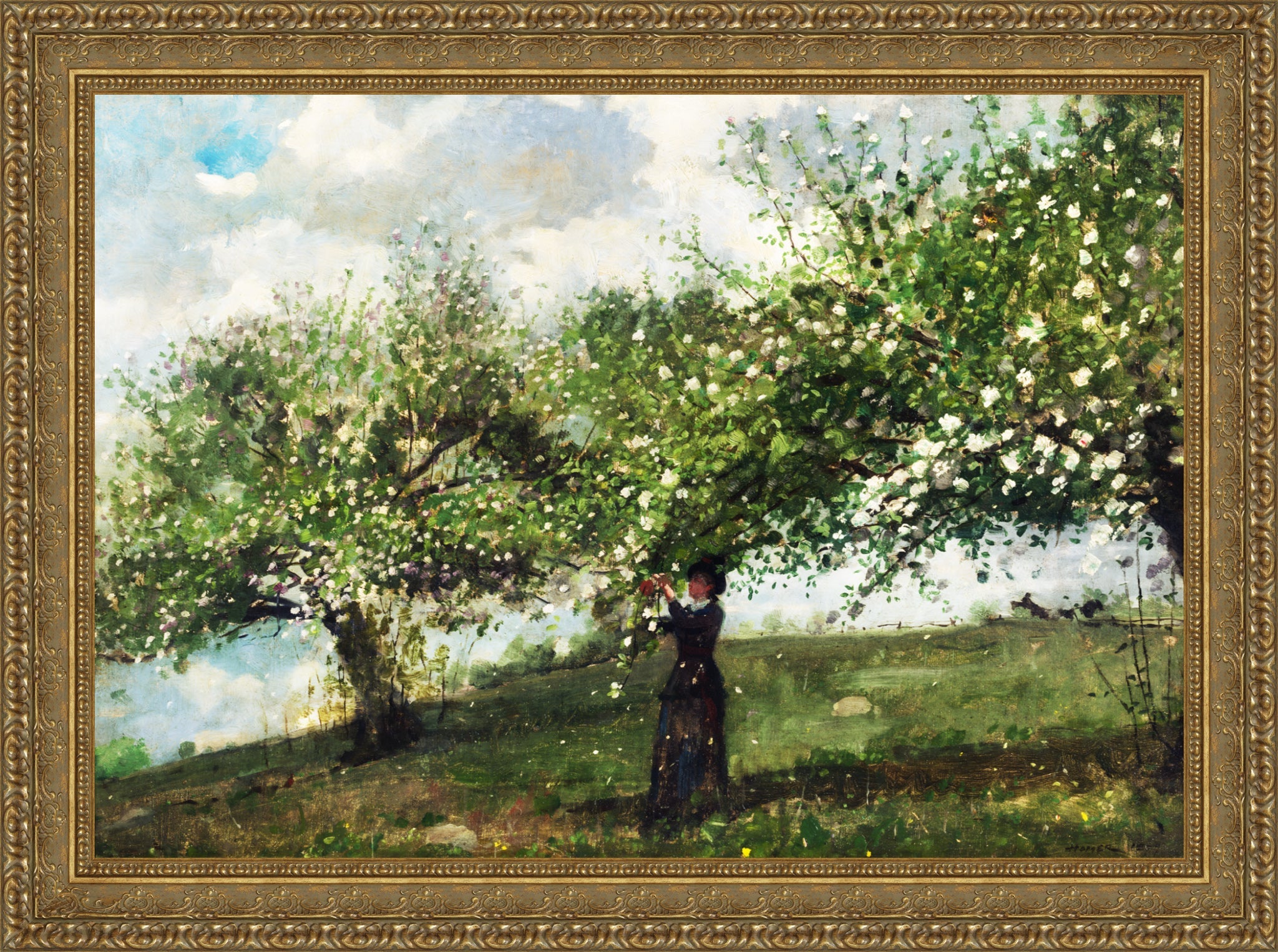 Girl Picking Apple Blossoms
