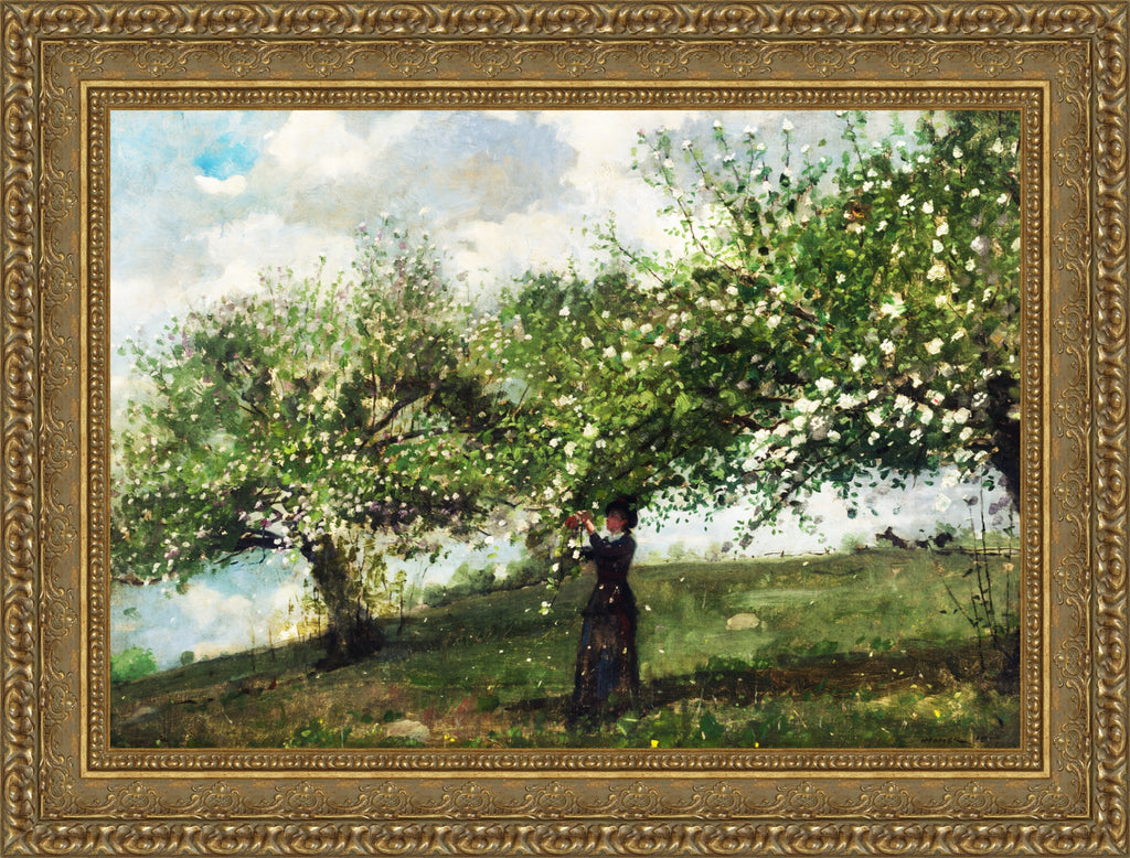 Girl Picking Apple Blossoms