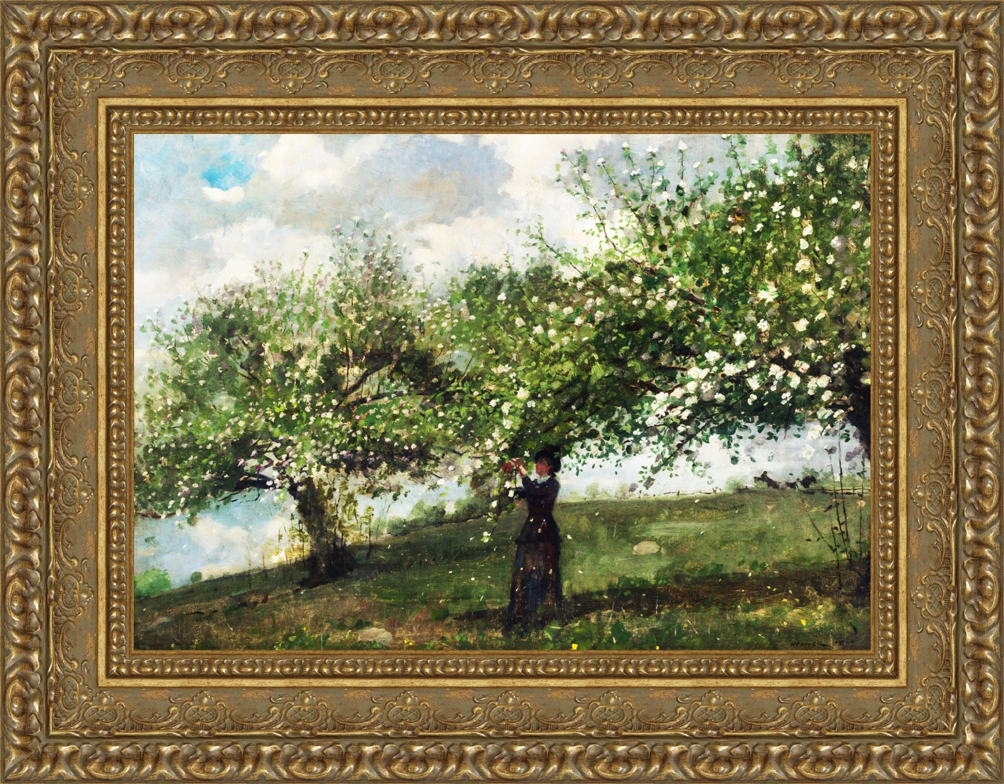 Girl Picking Apple Blossoms