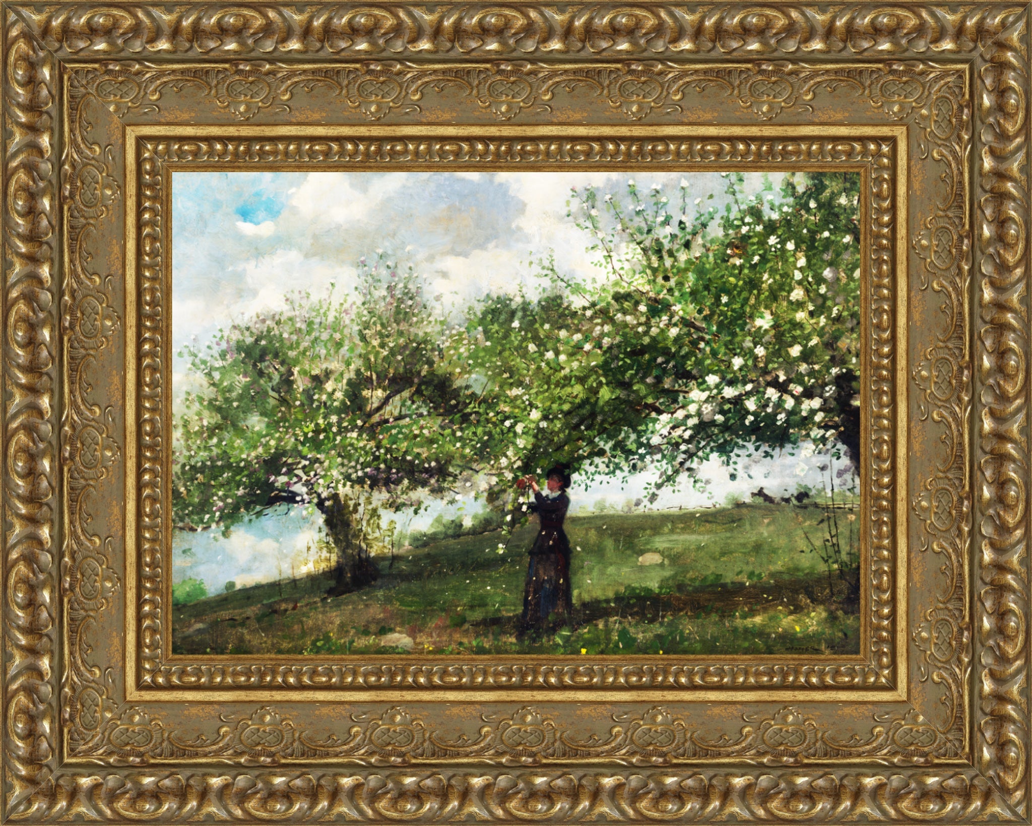 Girl Picking Apple Blossoms