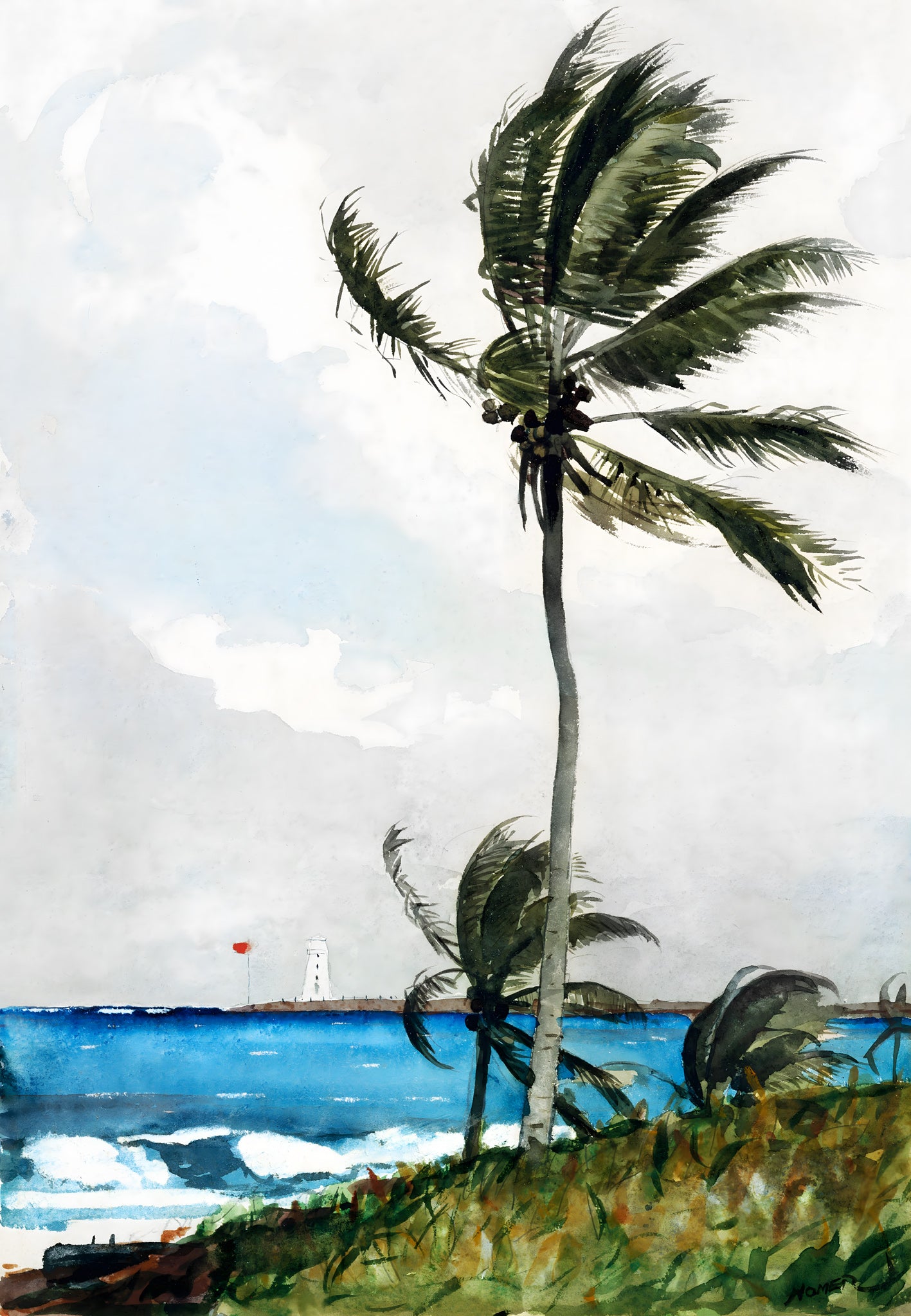 Palm Tree Nassau