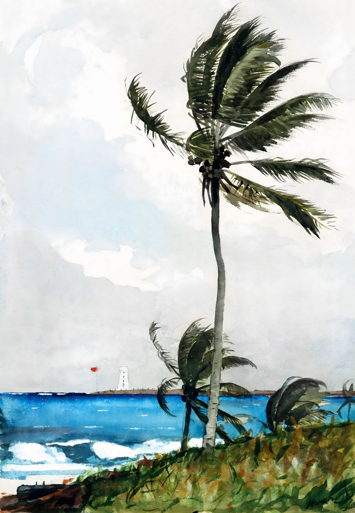 Palm Tree, Nassau – Winslow Homer, 1898, framed