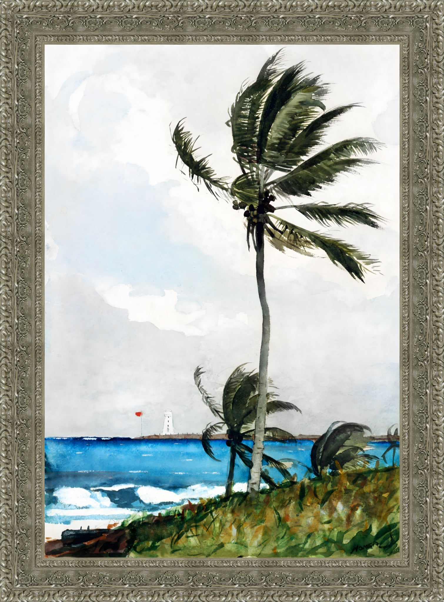 Palm Tree Nassau