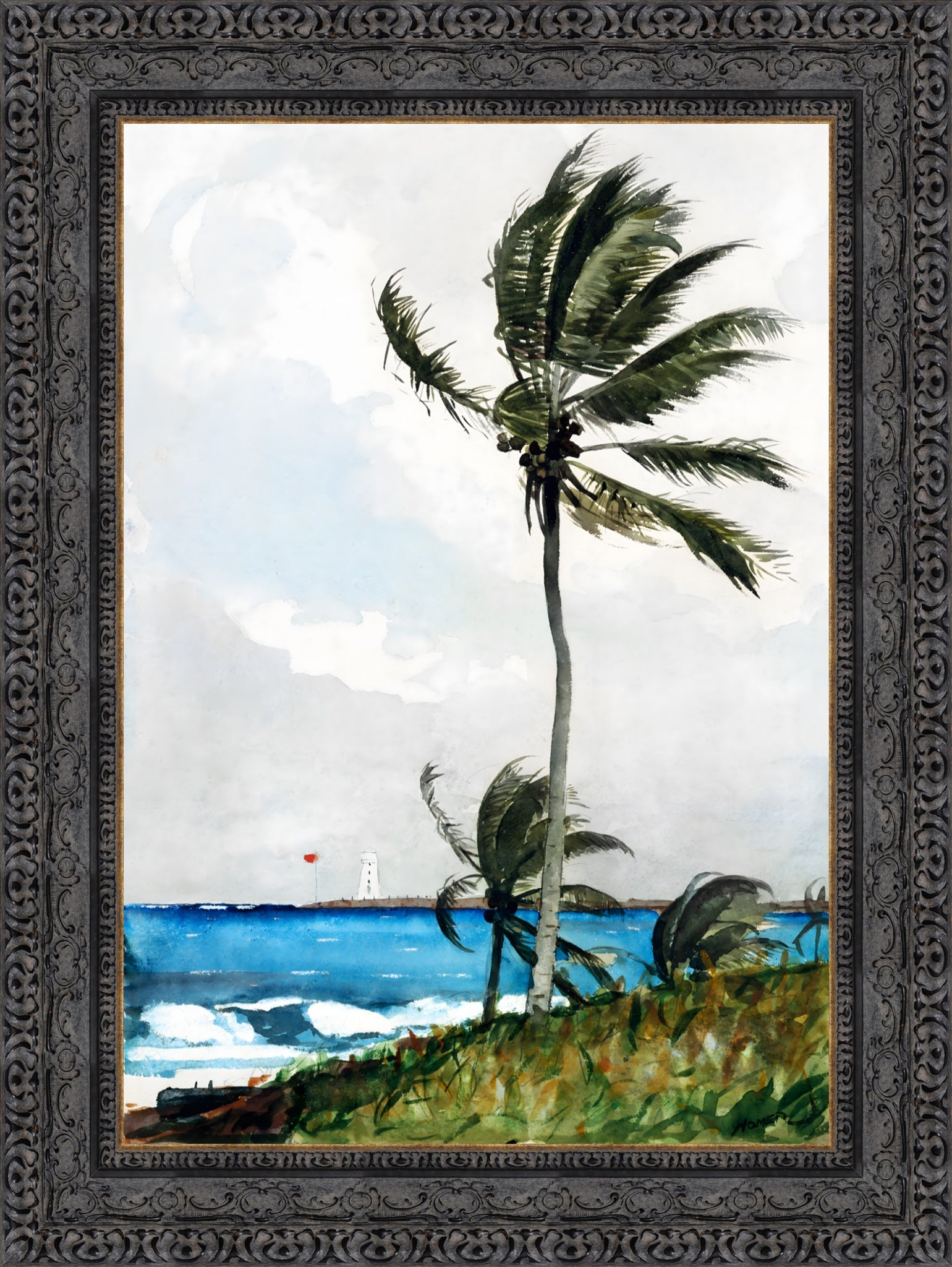 Palm Tree Nassau