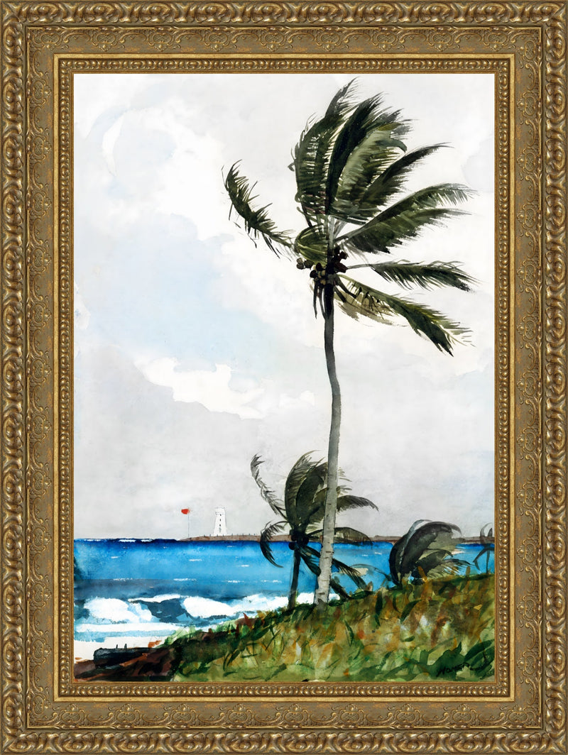 Palm Tree, Nassau – Winslow Homer, 1898