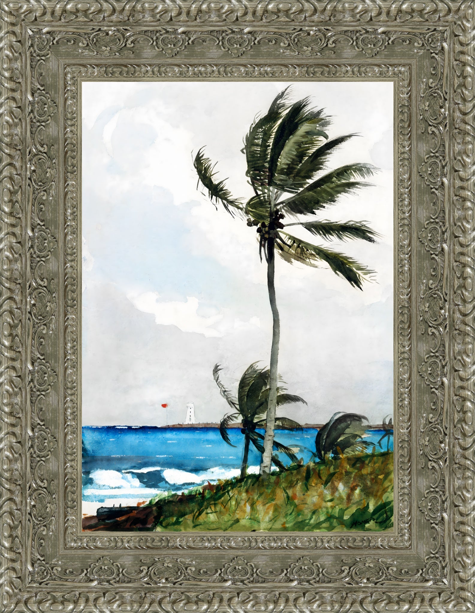 Palm Tree Nassau