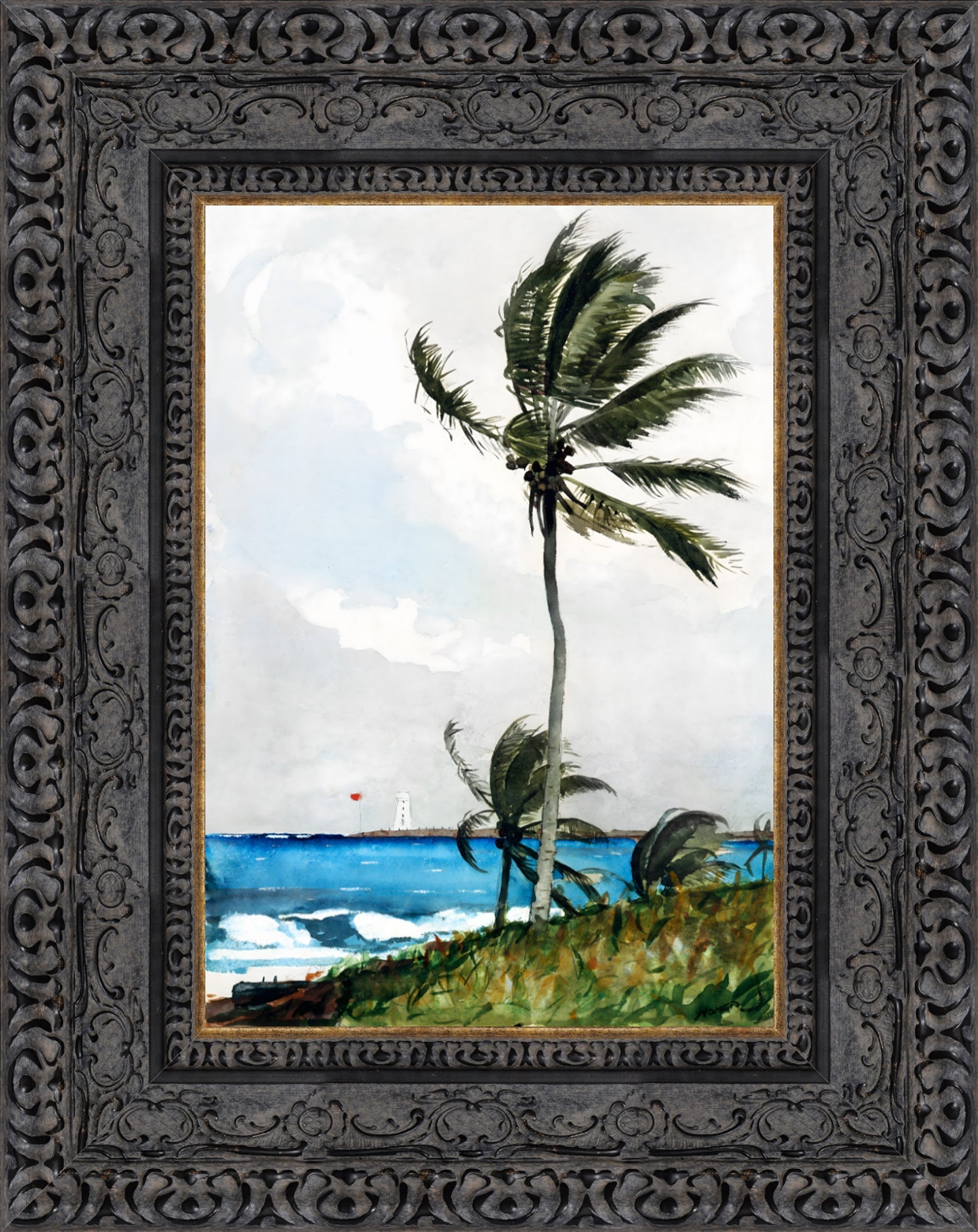 Palm Tree Nassau