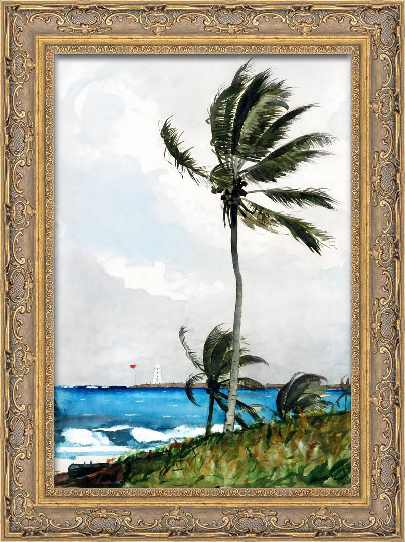 Palm Tree, Nassau – Winslow Homer, 1898