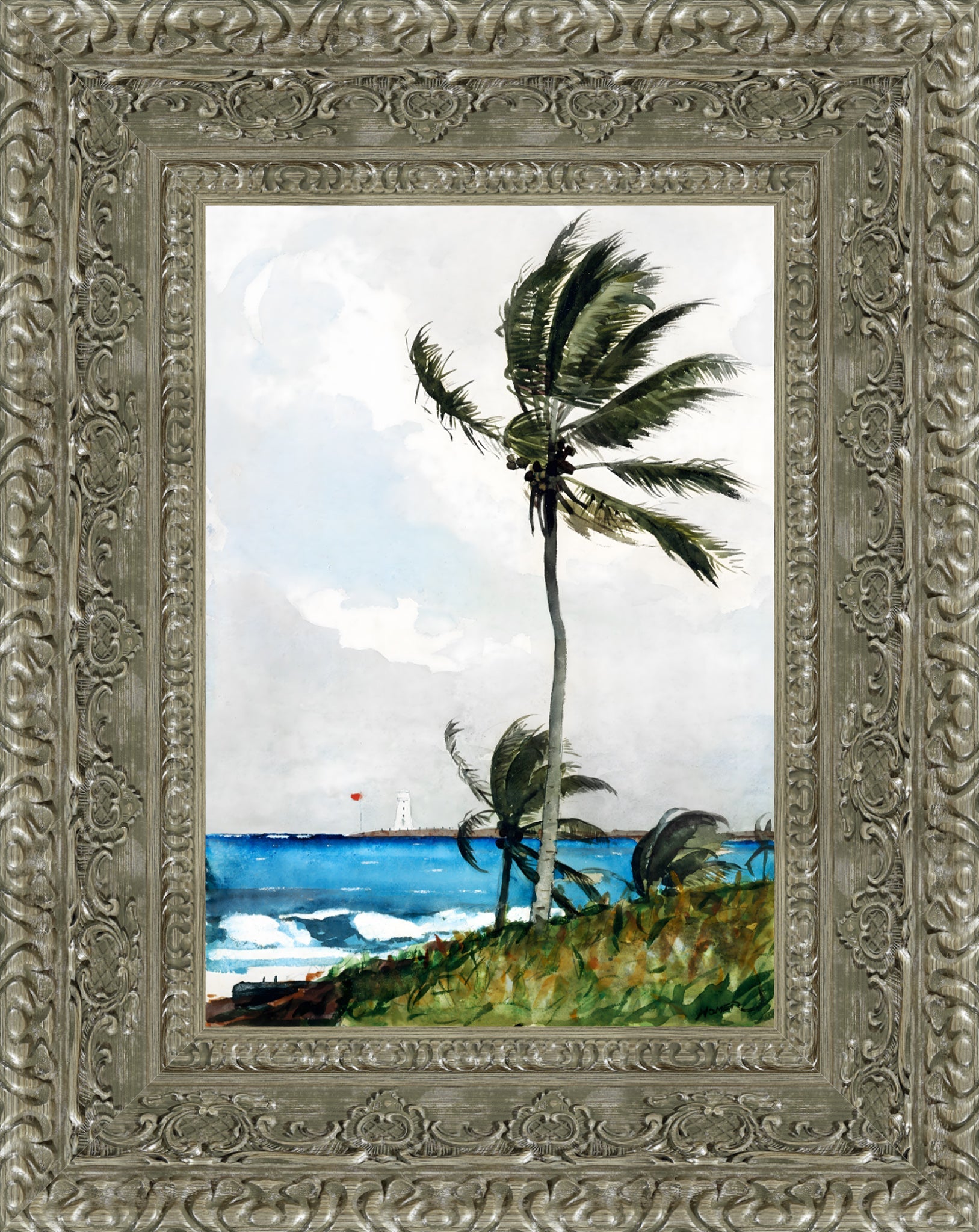 Palm Tree Nassau